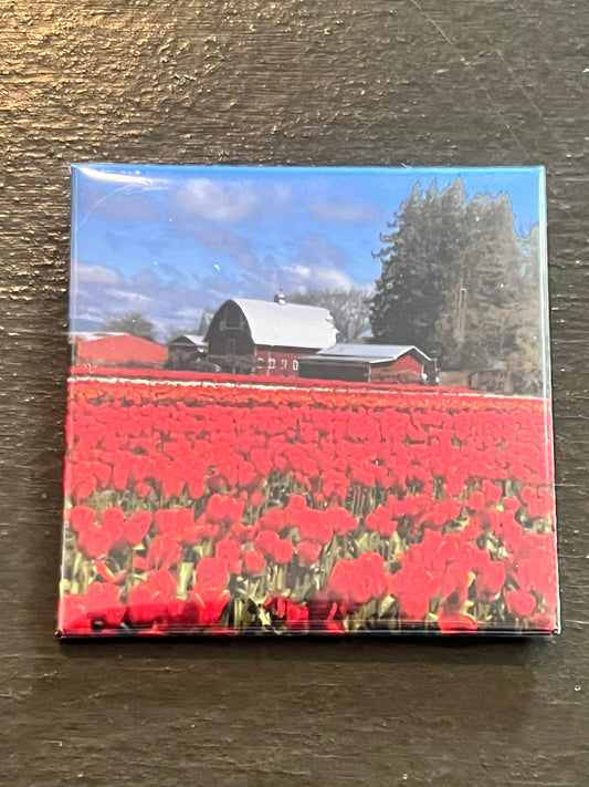 2"x 2" Single Photo Magnet
